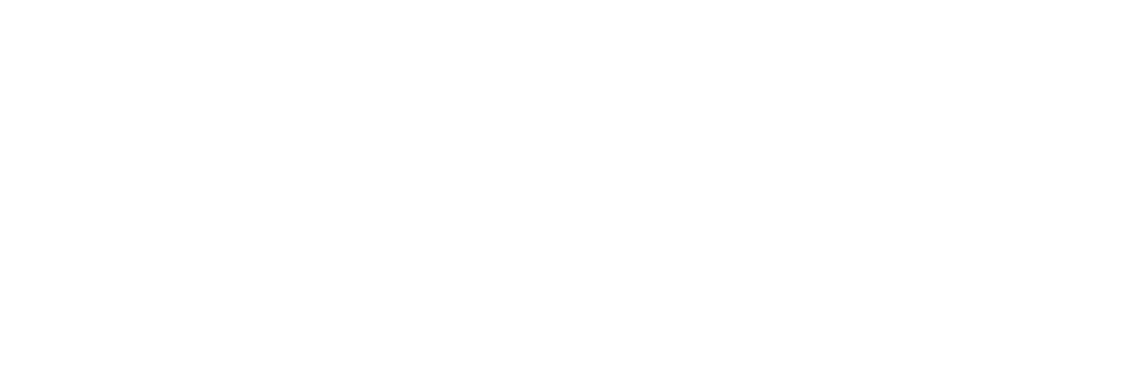 Xcobean Systems Limited Logo