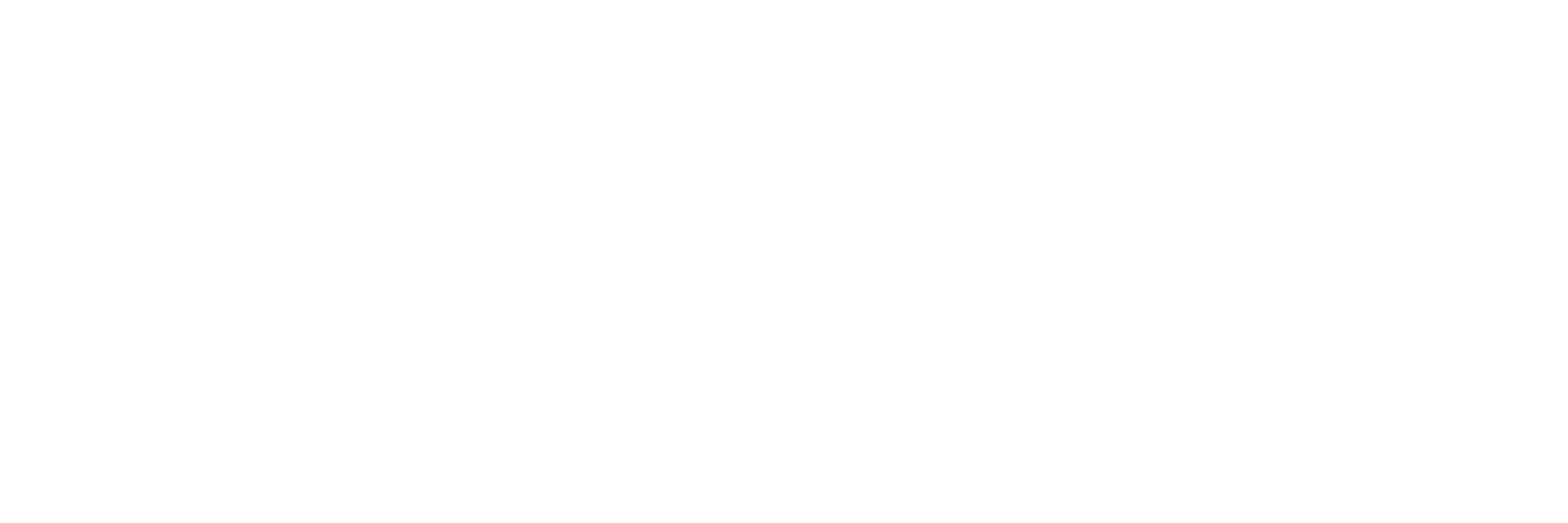 Xcobean Systems Limited Logo